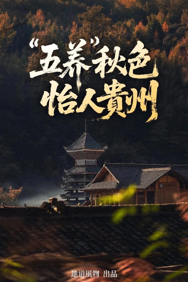 一秋知“五养”，这个西南秘境到底有多上头？