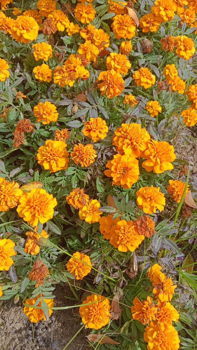 《人到中年，别再为别人而活，学会爱自己才是人生的必修课》