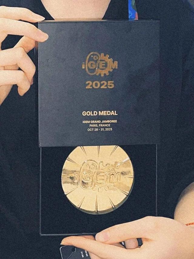 一起照亮更广阔的世界丨北京大学代表队参加国际基因工程机器大赛2025年参赛总结