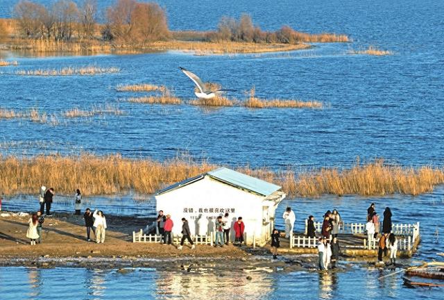众多游人在大同云州区于家寨塞尚8号露营地观光游览