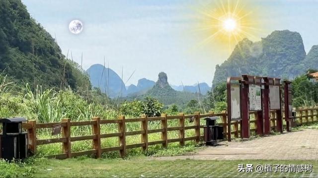 红水河畔铸青山，在一代伟人诞辰132周年之际，遥寄山河思念