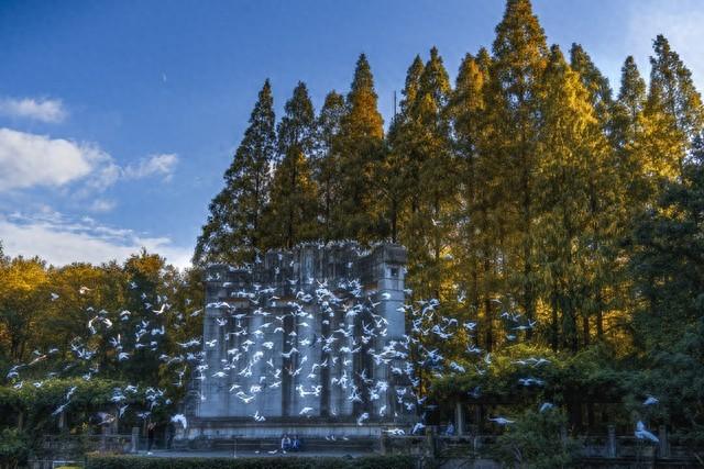 南京市玄武区旅游攻略以及著名小吃 附带起源