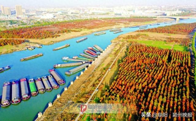 颍上，上“新”