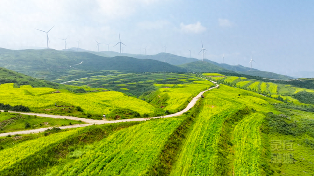 灵丘县柳科乡荞麦川村：油菜花盛开 赏花正当时