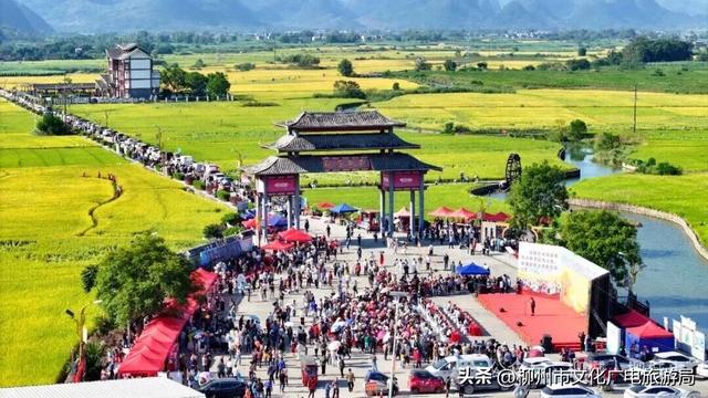 明天！柳城邀你赴一场“稻美甜野”之约！