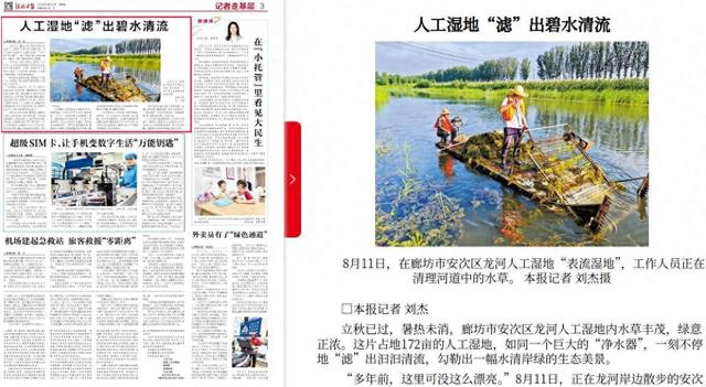 河北日报：人工湿地“滤”出碧水清流