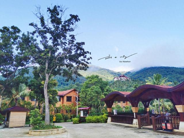 三亚太“魔幻”！明明是海南省第三城，街头却满是东北话？