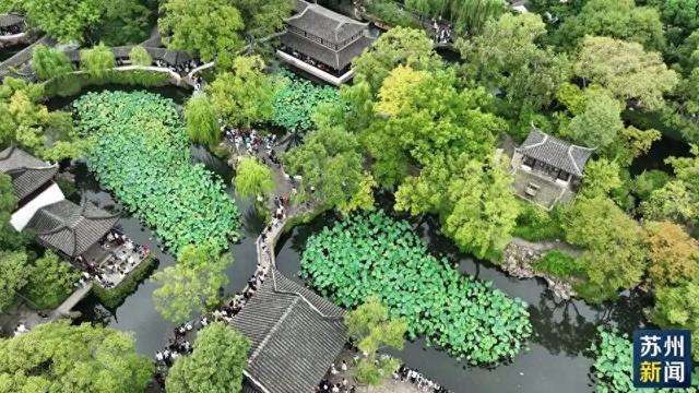 这个假期，苏州也太热闹了吧！