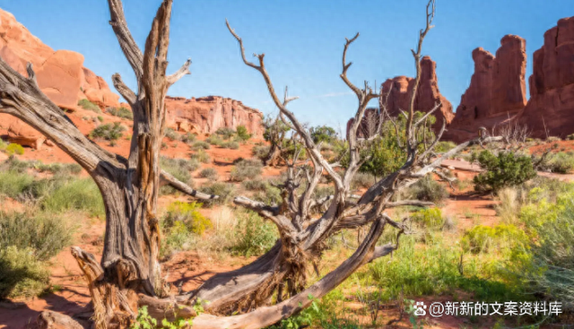 心里很烦的说说有哪些（烦躁）