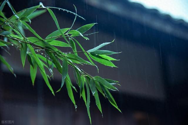 楼顶防水怎么做最好（踩遍所有坑吐血整理屋顶漏水自做防水全流程）