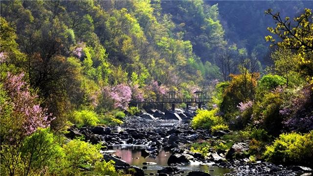 陇南冬春游重磅福利！四大门票优惠让你“超值”“玩美”游陇南