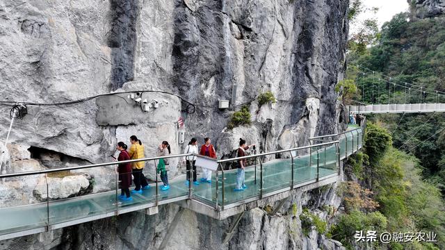 广西融安：秋高气爽引客来