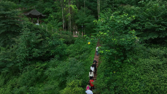 大邑再添AAA级林盘景区，位置就在→