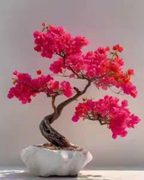 四季更迭，风光无限，跟着时节走，品深秋最浓郁醉人的诗意