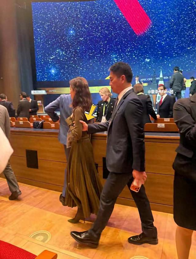 刘强东与章泽天在韩国APEC峰会上的亮相，与其说是商业大佬的天
