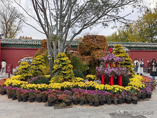 从童年嬉闹到诗意园林——一个北京土著的北海公园记忆