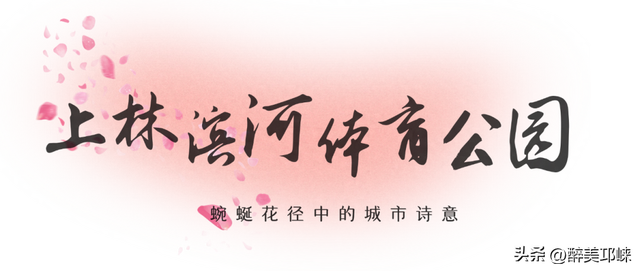 花漾邛州 | 秋日限定美景，粉黛登场！