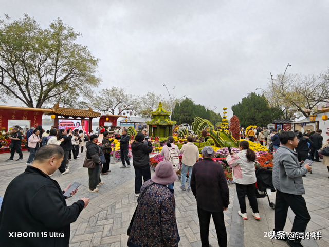 15分钟617人登顶龙亭大殿，传统观光景区迈向沉浸夜游的关键一步