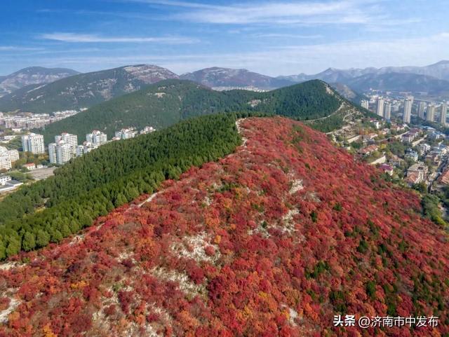 听说济南蝎子山上有“鸳鸯锅”？公交出行指南→