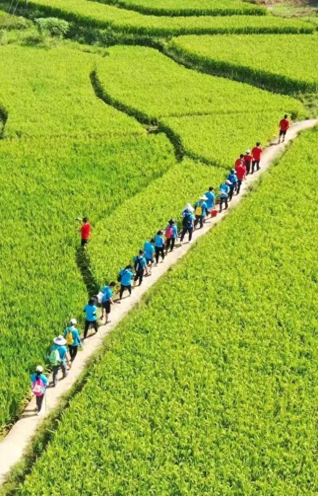 从竹海徒步，到舌尖蹦迪！“厨师之乡”的终极吃货地图请收好