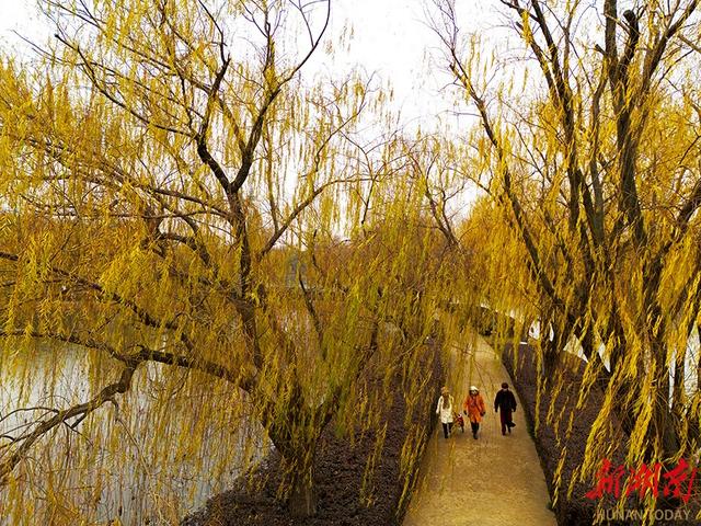 城市公园 冬景如画