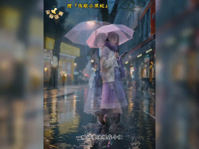 雨纷飞飞在天空里是我的眼泪完整歌词（下载蕃茄畅听）