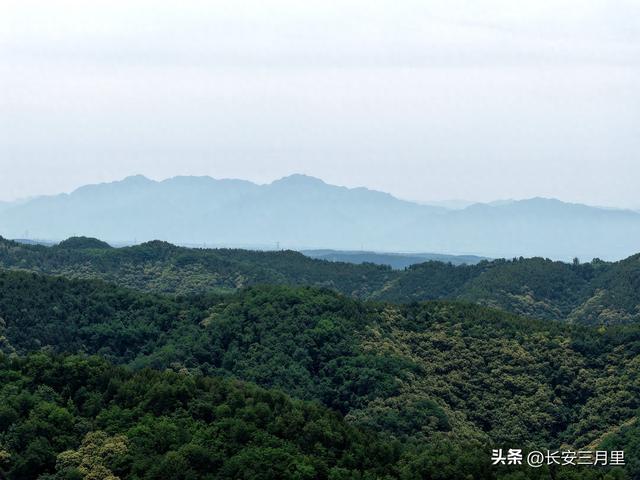 东山洪庆