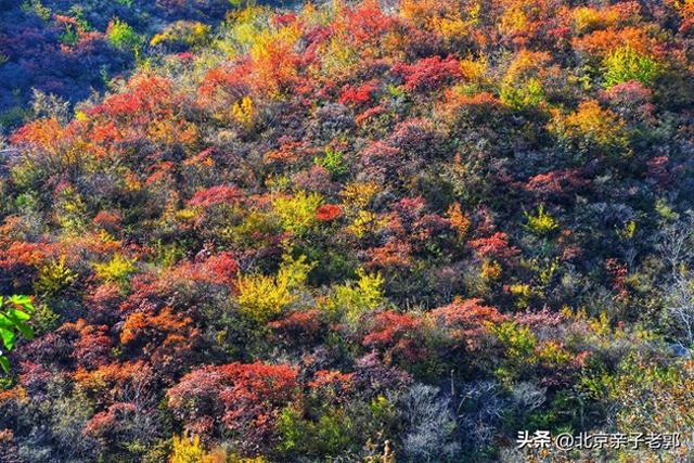 少有人知道的秋季徒步路线，还有太监墓