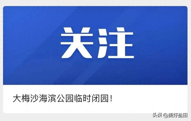 闭园！停运！停航！