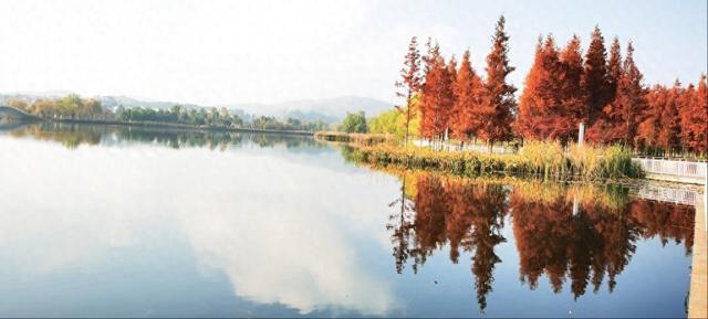 鲁甸初冬景色宜人
