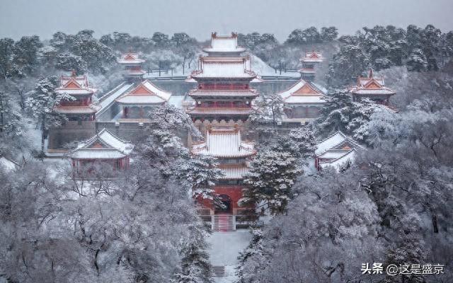 沈阳机场继续领先哈尔滨，来到了第45周，客流量超尔滨54.7万人次