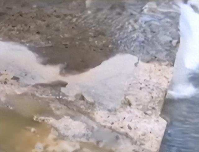 湖北神农架林区一景区外有污水排入河道！当地回应：系污水管道破裂，已截流，具体原因正在调查中