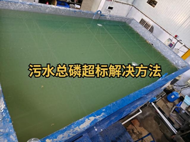 优化方案化学（污水总磷超标解决方法）