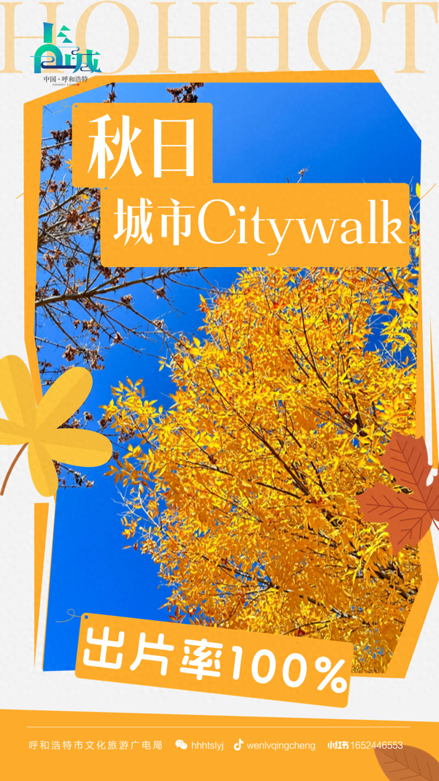 周末去哪？这条呼和浩特秋日City walk路线，可以直接抄作业！
