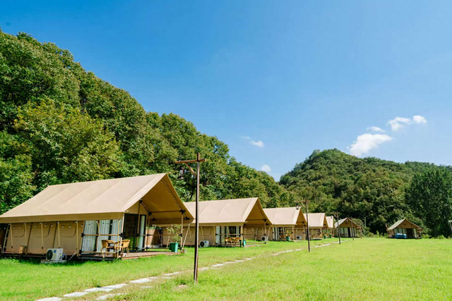 河南鲁山：十月秋光添诗意 文旅经济再提速