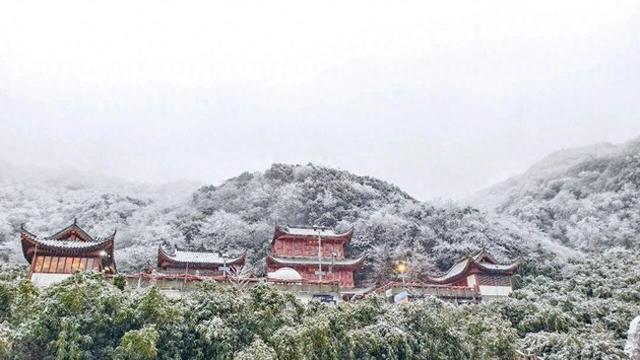 金佛山下雪❄️啦！秒变冰雪仙境