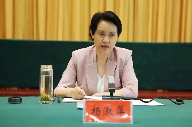 涉嫌严重违纪违法，河南一原副市长被查！