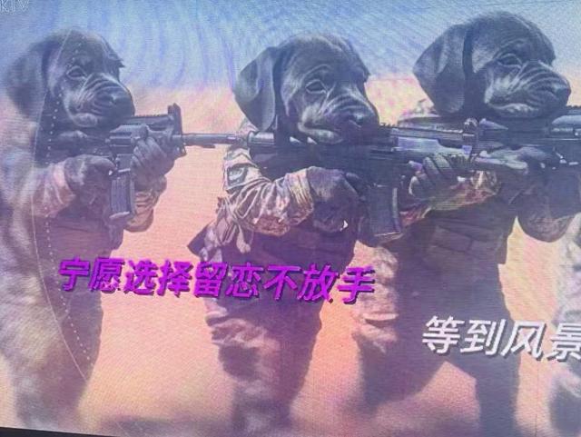 企鹅月亮密室逃脱攻略（当AI入侵KTV一些奇怪的事情发生了）