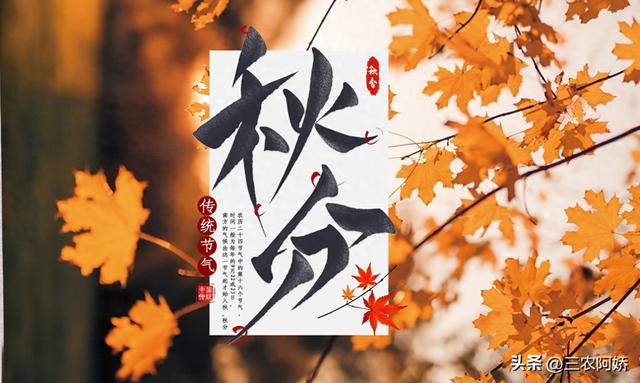 23日秋分，“秋分逢单 冬天暖；秋分逢双 冬天凉”，今年秋分在哪？