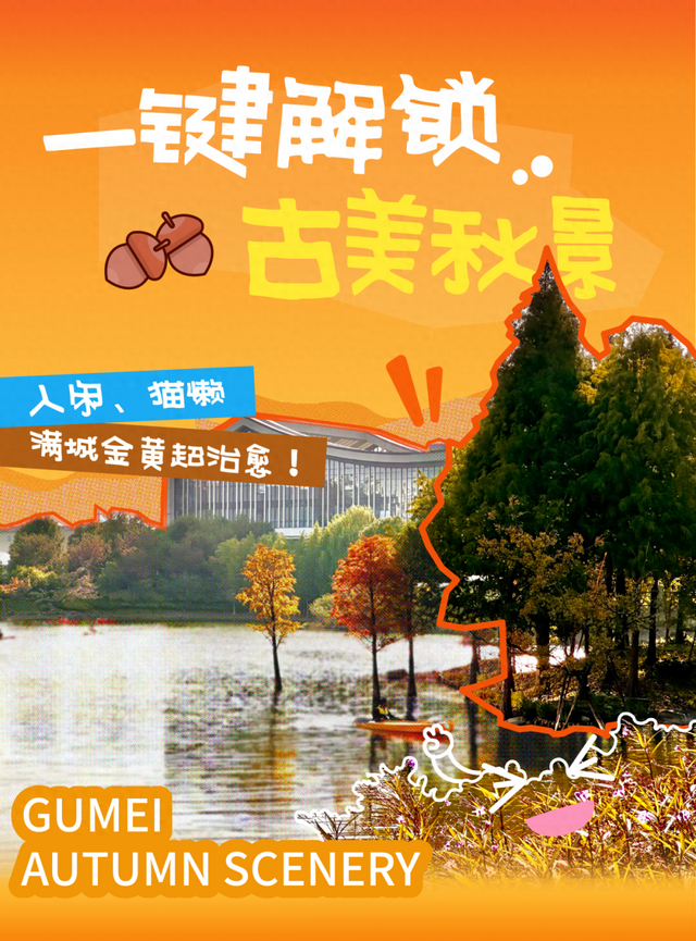 闵行的晚秋，太温柔