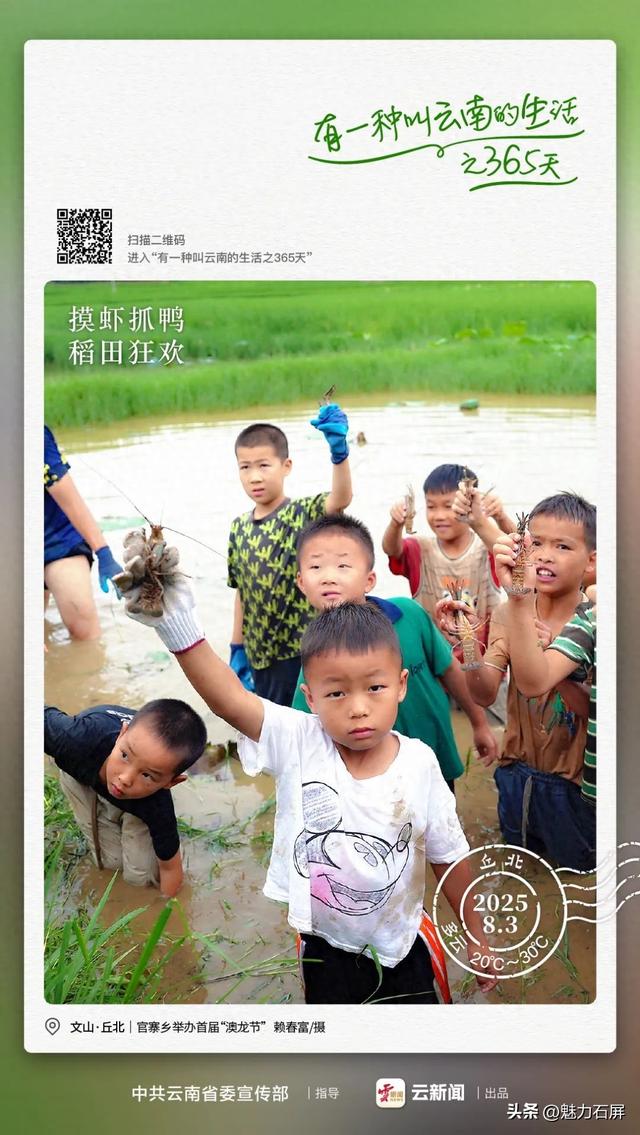 云南人的快乐你想象不到！摸虾抓鸭吃澳龙，热闹爽到上头｜有一种叫云南的生活之365天