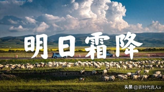 明日霜降，老话“霜降重阳前，必定是灾年”，啥意思？早看早知道