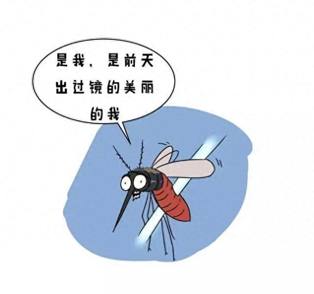 夏天怎么养绿萝（如何让夏天默默无蚊的度过）