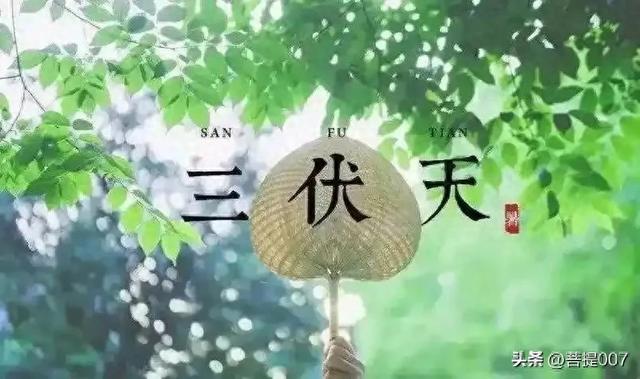 明日入伏，今年三伏天不一般！1个好消息，2个坏消息，3个要注意