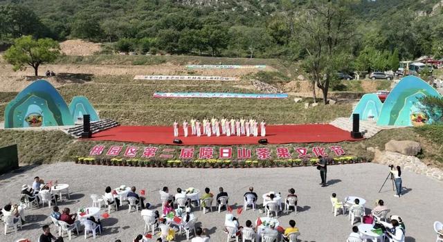 桃园区第二届障日山茶果文化节开幕
