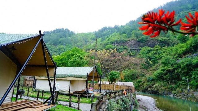 桐梓清凉游丨“露营热”激发旅游新活力