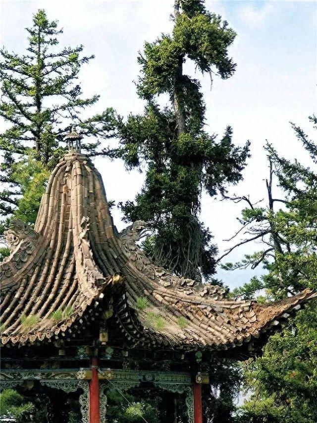 定西，西北最被低估的“野性”小城