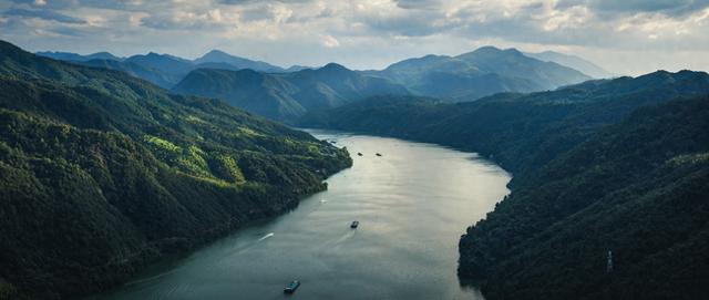 叶梅：翠色随人