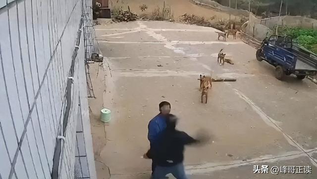 真刑！江西男子被邻居殴打，政府介入，鉴定结果已出，人善被人欺