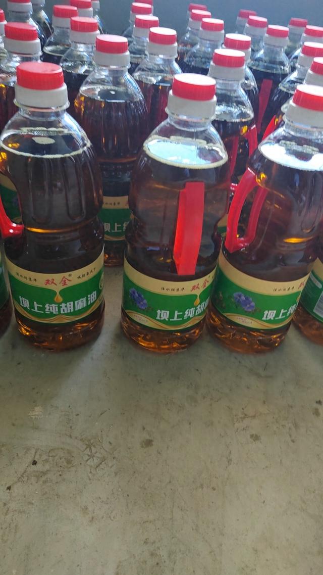 秋光秋色‖要公璞